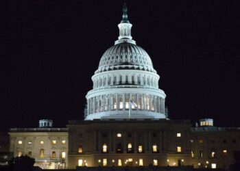 Западные СМИ умышленно занизили число участников акции в поддержку Трампа