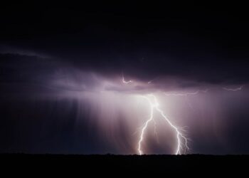Мощный ливень стал причиной крупнейшего вымирания на Земле