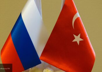 Россия обсудила с Турцией вопросы урегулирования ситуации в Сирии