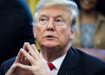 Эмиграция или гражданская война: что выберет Трамп