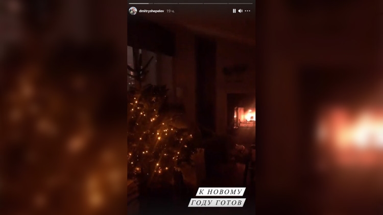 Дмитрий Шепелев решил встретить Новый год дома
