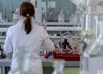 Исчезновение жизни на Земле приведет к правлению археи