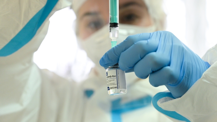 Биологи обнаружили способность коронавируса COVID-19 накапливать мутации