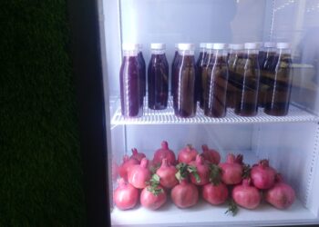 Диетолог Соломатина раскрыла полезные свойства граната