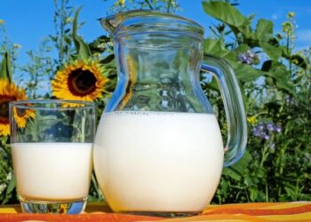 Стоимость алкоголя, табака и молочных продуктов вырастет в России с 2021 года