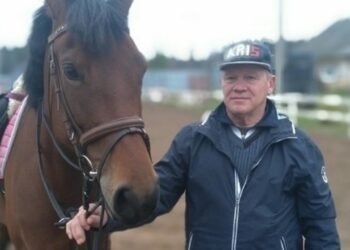 СМИ узнали причину гибели олимпийского чемпиона по конному спорту Блинова
